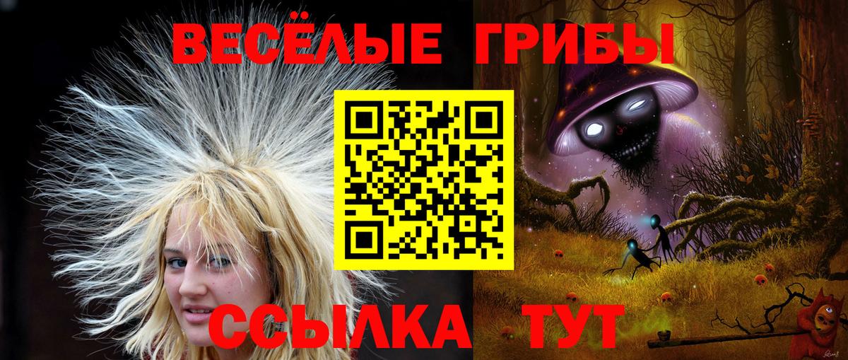 Галлюциногенные грибы ЛСД  Псилоцибиновые грибы ЛСД  Новодвинск  Вход с VPN 